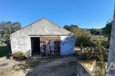 Byhus i Alcobaca, Leiria, Alcobaca - € 290.000 | Ref: 836962 - foto 6