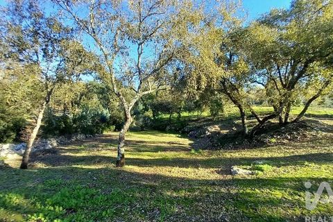 Byhus i Alcobaca, Leiria, Alcobaca - € 290.000 | Ref: 836962 - foto 8