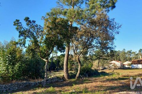 Byhus i Alcobaca, Leiria, Alcobaca - € 290.000 | Ref: 836962 - foto 9
