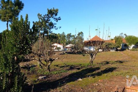 Byhus i Alcobaca, Leiria, Alcobaca - € 290.000 | Ref: 836962 - foto 11