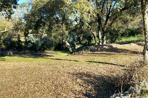 Byhus i Alcobaca, Leiria, Alcobaca - € 290.000 | Ref: 836962 - foto 12