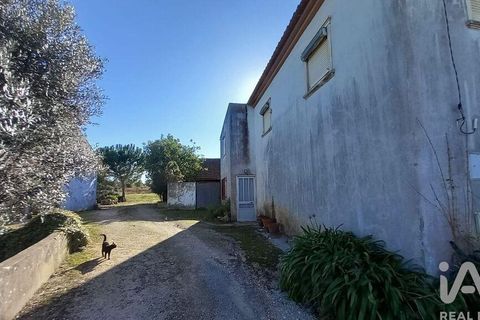 Byhus i Alcobaca, Leiria, Alcobaca - € 290.000 | Ref: 836962 - foto 20