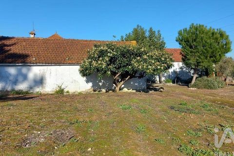 Byhus i Alcobaca, Leiria, Alcobaca - € 290.000 | Ref: 836962 - foto 32