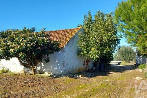 Byhus i Alcobaca, Leiria, Alcobaca - € 290.000 | Ref: 836962 - foto 33