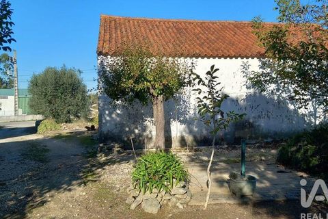 Byhus i Alcobaca, Leiria, Alcobaca - € 290.000 | Ref: 836962 - foto 34