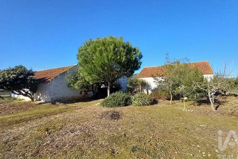 Byhus i Alcobaca, Leiria, Alcobaca - € 290.000 | Ref: 836962 - foto 35