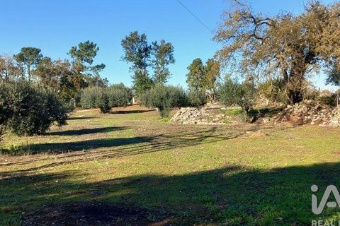 Byhus i Alcobaca, Leiria, Alcobaca - € 290.000 | Ref: 836962 - foto 37