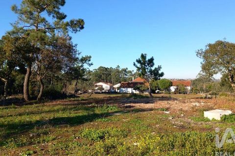 Byhus i Alcobaca, Leiria, Alcobaca - € 290.000 | Ref: 836962 - foto 38