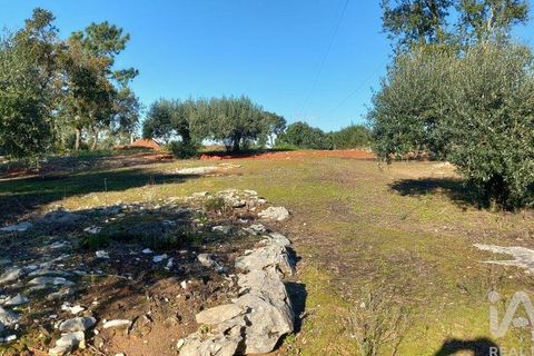 Byhus i Alcobaca, Leiria, Alcobaca - € 290.000 | Ref: 836962 - foto 40