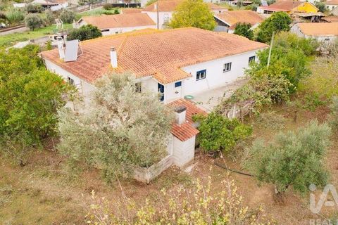 Byhus i Pombal, Leiria, Pombal - € 495.000 | Ref: 862923 - foto 4
