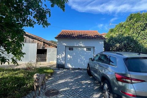 Byhus i Pombal, Leiria, Pombal - € 495.000 | Ref: 862923 - foto 6