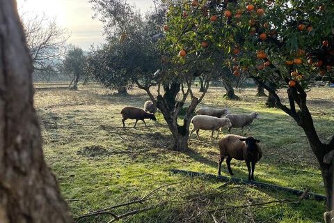 Byhus i Pombal, Leiria, Pombal - € 495.000 | Ref: 862923 - foto 26
