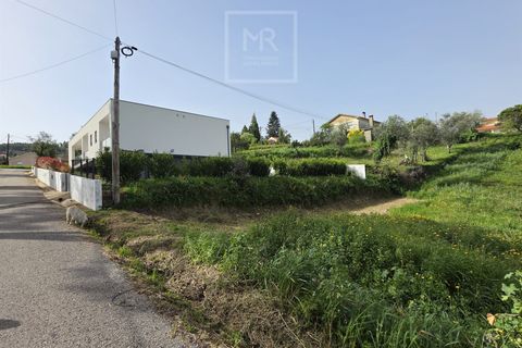 Tomt i Mealhada, Aveiro, Mealhada - € 39 000 | Ref: 48/2026 RV - foto 4