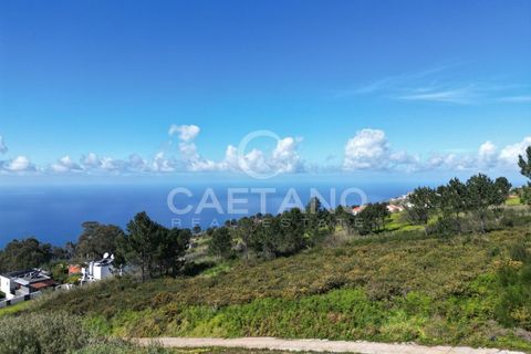 Helårsgrund i Calheta, Madeira, Calheta - € 265.000 | Ref: 3297 - foto 7