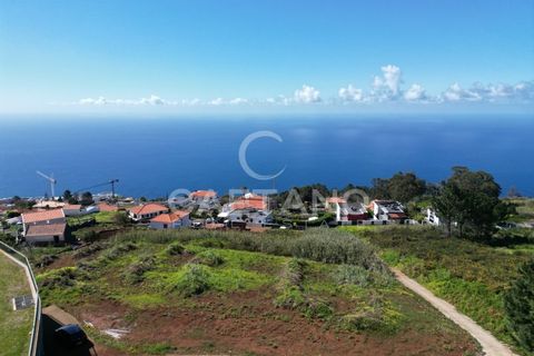 Helårsgrund i Calheta, Madeira, Calheta - € 265.000 | Ref: 3297 - foto 9