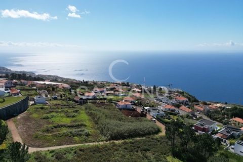 Helårsgrund i Calheta, Madeira, Calheta - € 265.000 | Ref: 3297 - foto 28