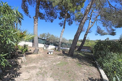 Villa a Montserrat, Valencia, Montserrat - € 220.000 | Ref: 091449 - foto 16
