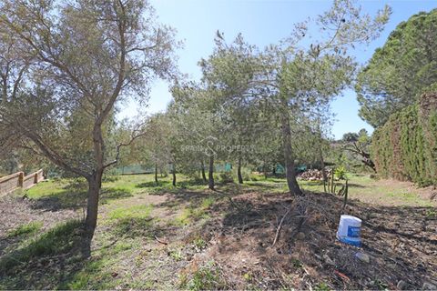 Villa a Montserrat, Valencia, Montserrat - € 220.000 | Ref: 091449 - foto 17