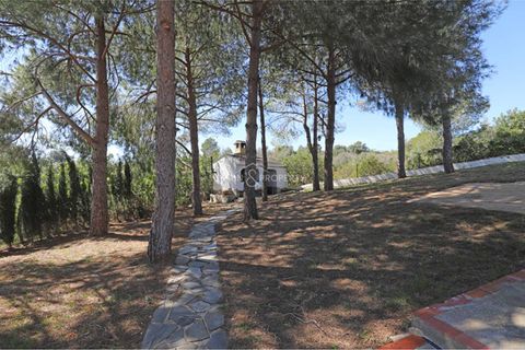 Villa a Montserrat, Valencia, Montserrat - € 220.000 | Ref: 091449 - foto 19