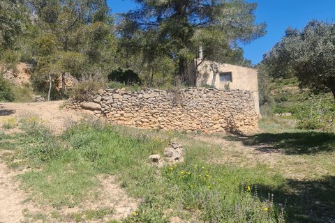 Landejendom i Mora D'ebre, Tarragona, Mora D'ebre - € 21.000 | Ref: L1026M - foto 16