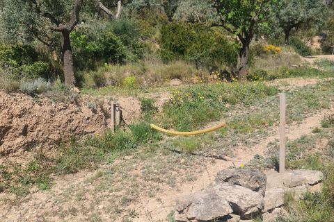 Landejendom i Mora D'ebre, Tarragona, Mora D'ebre - € 21.000 | Ref: L1026M - foto 13