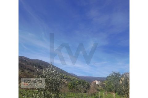 Villa i Guarda, Guarda, Guarda - € 110.000 | Ref: CAS_258RSKWPT-029732 - foto 3