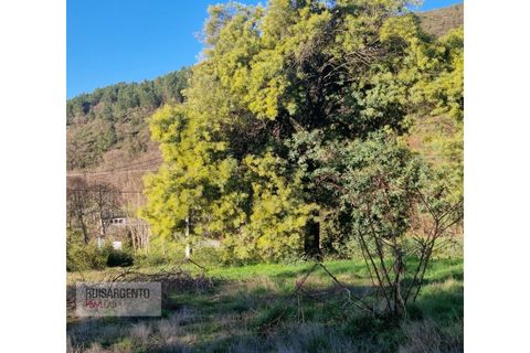 Villa i Guarda, Guarda, Guarda - € 110.000 | Ref: CAS_258RSKWPT-029732 - foto 7