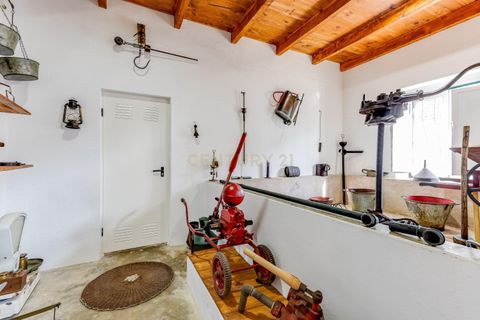 Villa a Golega, Santarem, Golega - € 595.000 | Ref: C0452-00539 - foto 20