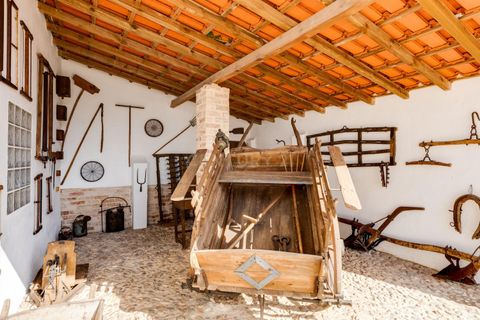 Villa a Golega, Santarem, Golega - € 595.000 | Ref: C0452-00539 - foto 30