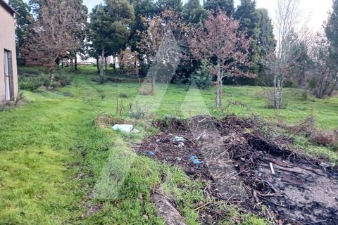 Helårsgrund i Mangualde, Viseu, Mangualde - € 225.000 | Ref: 1180647/26VS - foto 2