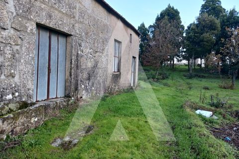 Helårsgrund i Mangualde, Viseu, Mangualde - € 225.000 | Ref: 1180647/26VS - foto 7