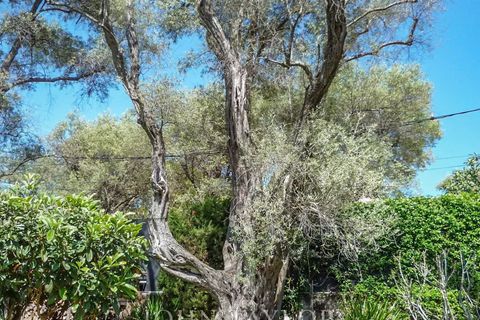Villa i Antibes, Alpes-Maritimes, Antibes - € 18.000.000 | Ref: V0711AN - foto 10