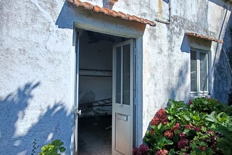 Villa i Caminha, Viana do Castelo, Caminha - € 200.000 | Ref: L-08/6848 - foto 14