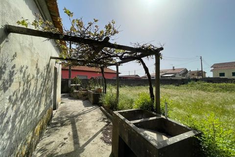 Villa i Murtosa, Aveiro, Murtosa - € 200.000 | Ref: 603 - foto 21