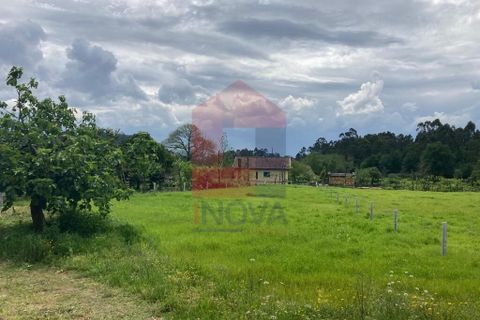 Helårsgrund i Vila Verde, Braga, Vila Verde - € 56.500 | Ref: 08865 - foto 12