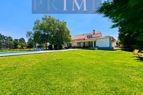Farm i Quinta do Anjo, Setubal, Quinta do Anjo - € 730.000 | Ref: AP001.60PR - foto 4