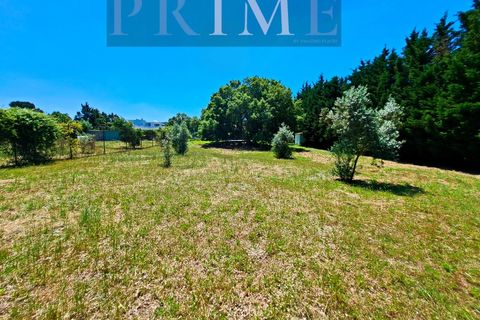 Farm i Quinta do Anjo, Setubal, Quinta do Anjo - € 730.000 | Ref: AP001.60PR - foto 43