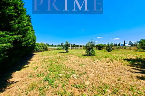 Farm i Quinta do Anjo, Setubal, Quinta do Anjo - € 730.000 | Ref: AP001.60PR - foto 44