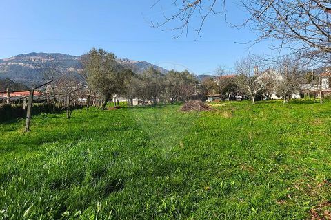Villa i Ponte de Lima, Viana do Castelo, Ponte de Lima - € 259.000 | Ref: 123731006-165 - foto 21