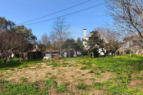 Villa i Ponte de Lima, Viana do Castelo, Ponte de Lima - € 259.000 | Ref: 123731006-165 - foto 22