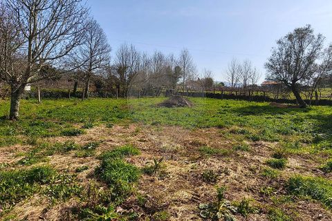 Villa i Ponte de Lima, Viana do Castelo, Ponte de Lima - € 259.000 | Ref: 123731006-165 - foto 24