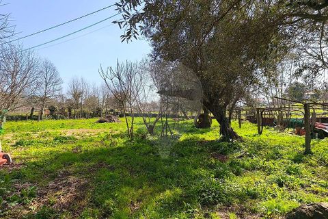 Villa i Ponte de Lima, Viana do Castelo, Ponte de Lima - € 259.000 | Ref: 123731006-165 - foto 25