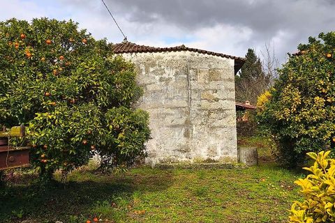 Villa i Arcos de Valdevez, Viana do Castelo, Arcos de Valdevez - € 155.000 | Ref: 123731039-21 - foto 17