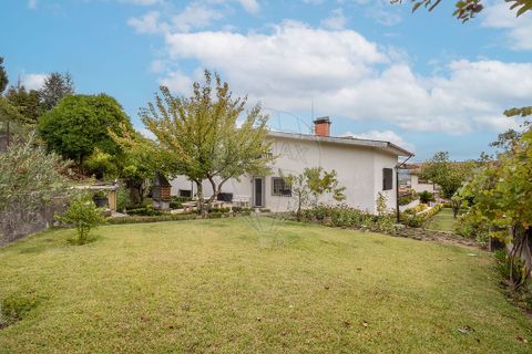 Villa i Cabeceiras de Basto, Braga, Cabeceiras de Basto - € 425.000 | Ref: 126311008-150 - foto 14