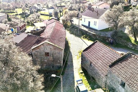 Villa i Cabeceiras de Basto, Braga, Cabeceiras de Basto - € 65.000 | Ref: 126311008-143 - foto 10