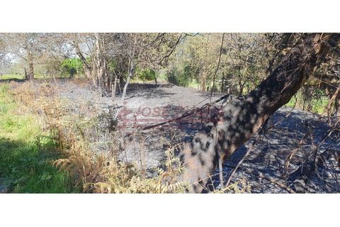 Helårsgrund i Valenca, Viana do Castelo, Valenca - € 6.000 | Ref: SÒL_381 - foto 2
