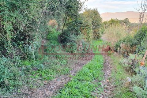 Helårsgrund i Valenca, Viana do Castelo, Valenca - € 6.000 | Ref: SÒL_381 - foto 3