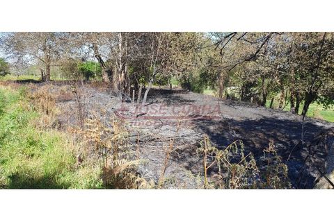 Helårsgrund i Valenca, Viana do Castelo, Valenca - € 6.000 | Ref: SÒL_381 - foto 4
