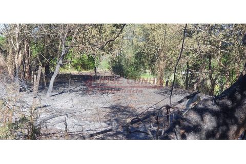 Helårsgrund i Valenca, Viana do Castelo, Valenca - € 6.000 | Ref: SÒL_381 - foto 6