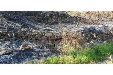 Helårsgrund i Valenca, Viana do Castelo, Valenca - € 6.000 | Ref: SÒL_381 - foto 9